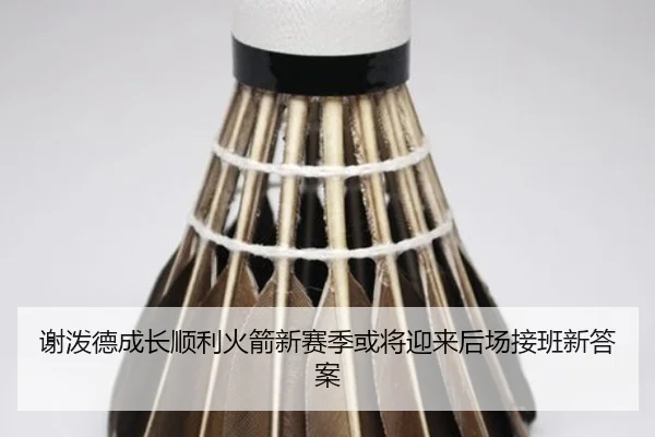 谢泼德成长顺利火箭新赛季或将迎来后场接班新答案